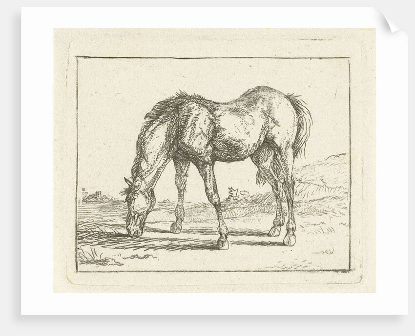 Grazing horse by Jan Dasveldt