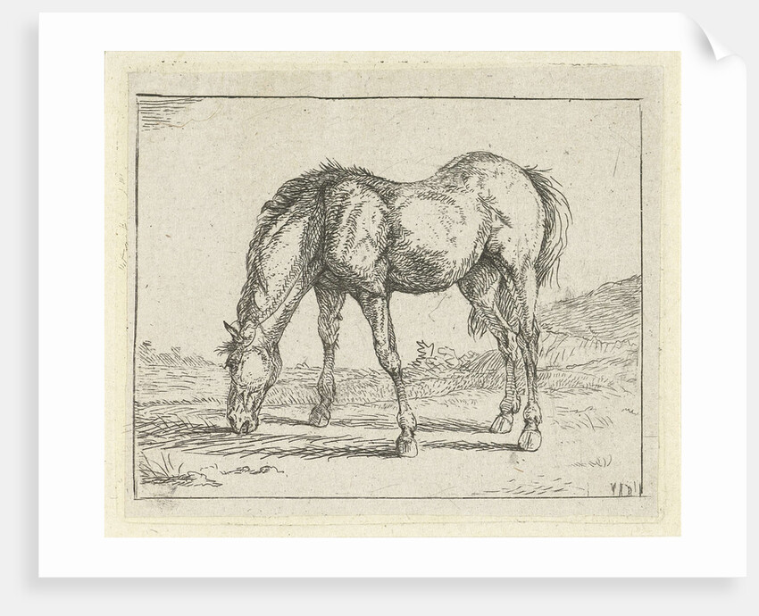 grazing horse left by Jan Dasveldt