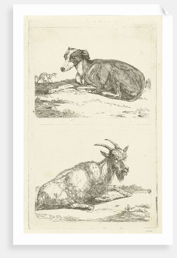 Greyhounds and goat by Jan Dasveldt