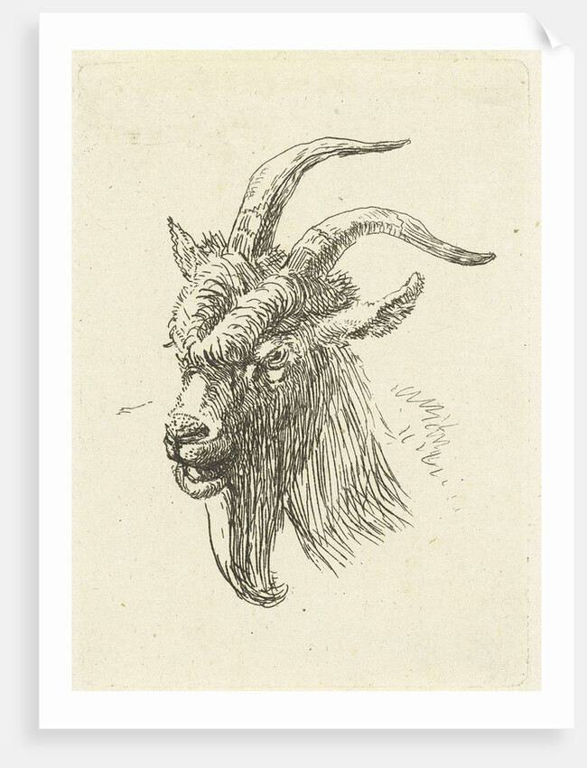 Cup buck by Jan Dasveldt