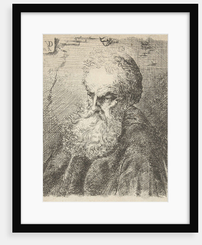 Bust of an old man with beard by Salomon Savery