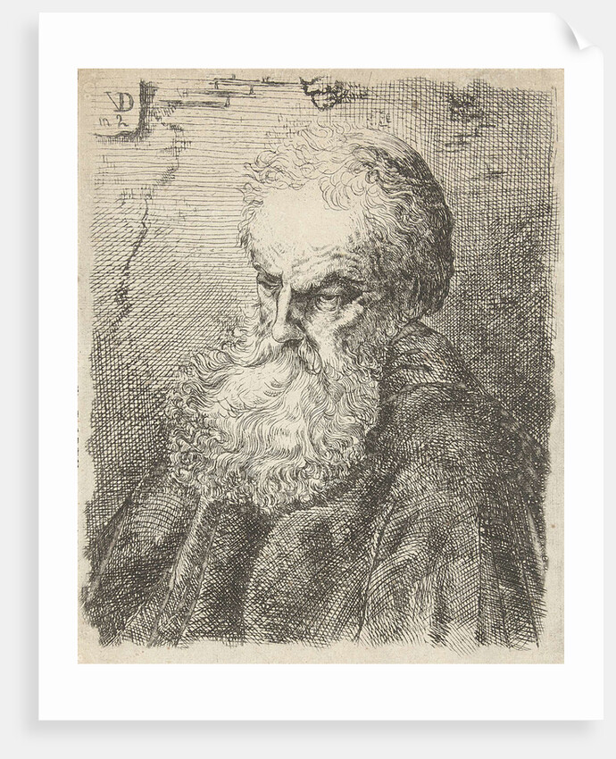 Bust of an old man with beard by Salomon Savery