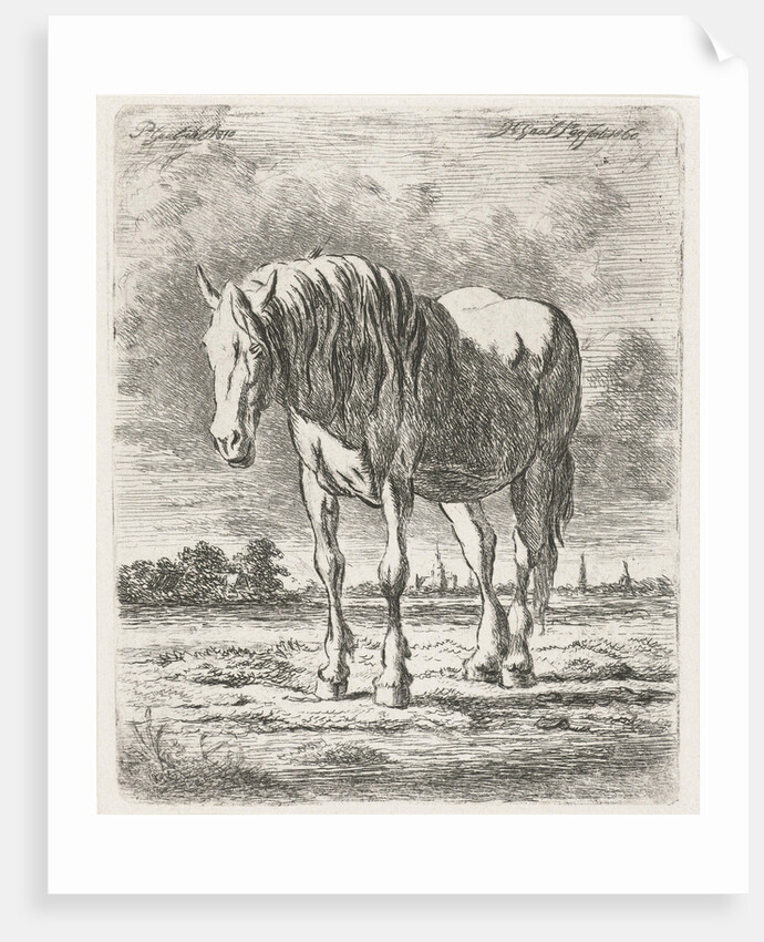 Single white horse by Jacobus Cornelis Gaal