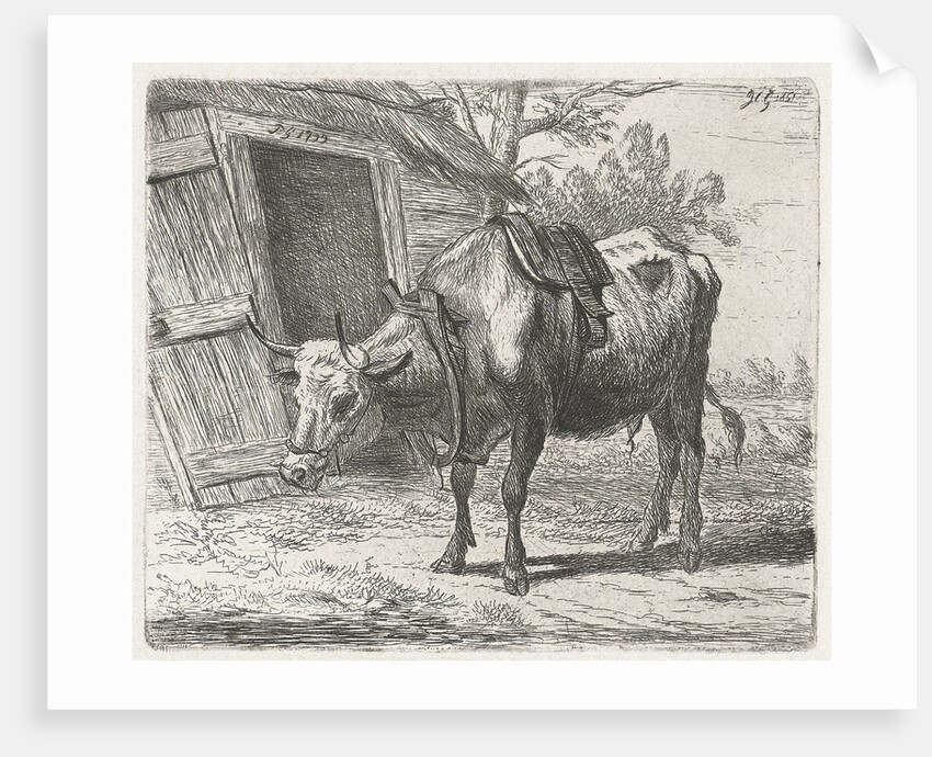 Trekos with yoke for the stable by Jacobus Cornelis Gaal