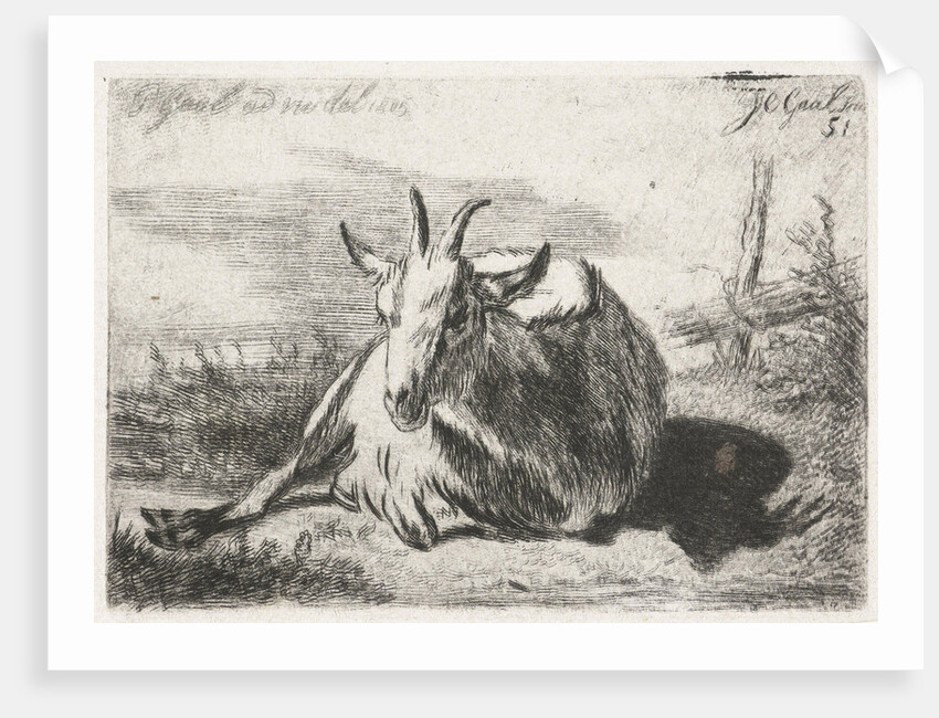 Lying goat, left by Jacobus Cornelis Gaal