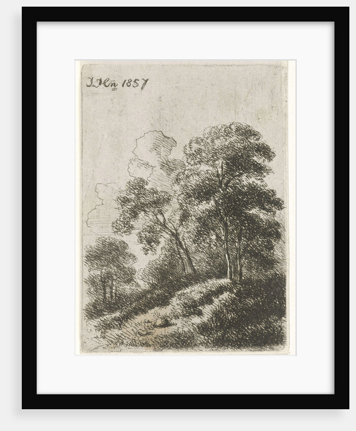 Trees on a hill by Hendrik Jan Hein