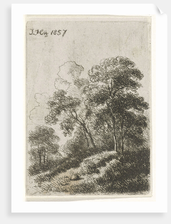 Trees on a hill by Hendrik Jan Hein