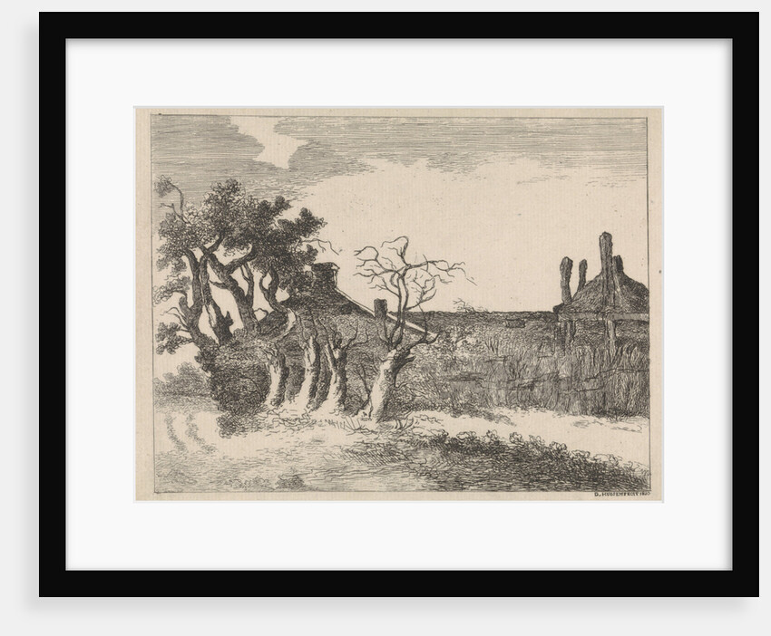 Willows at farm by Dirk Hussem