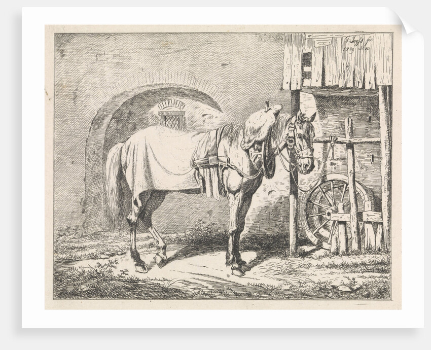 Refitted horse a bridle by George Jooss