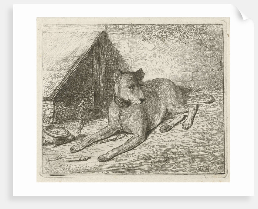 Dog on a chain with a doghouse by Johannes Mock