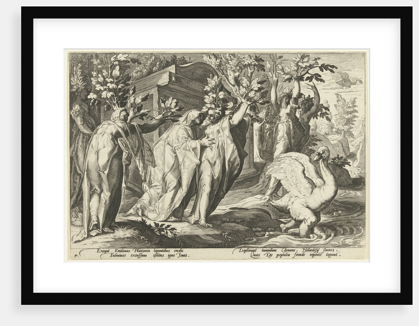 Phaëthons sisters turn into poplars and his friend into a swan by Franco Estius