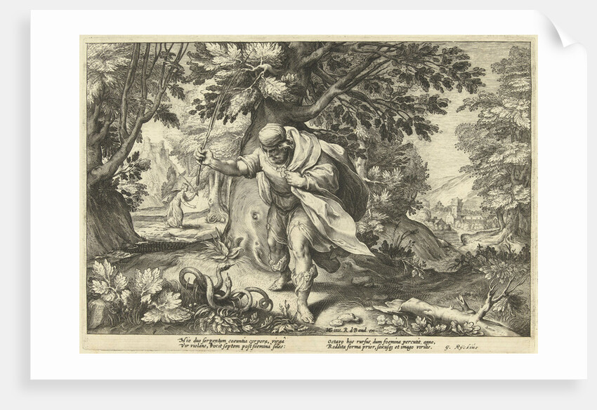 Teiresias stores in a forest two mating snakes by Workshop of Hendrick Goltzius