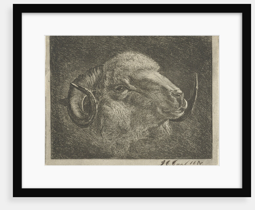 Head of a ram with twisted horns backward by Pieter Gaal