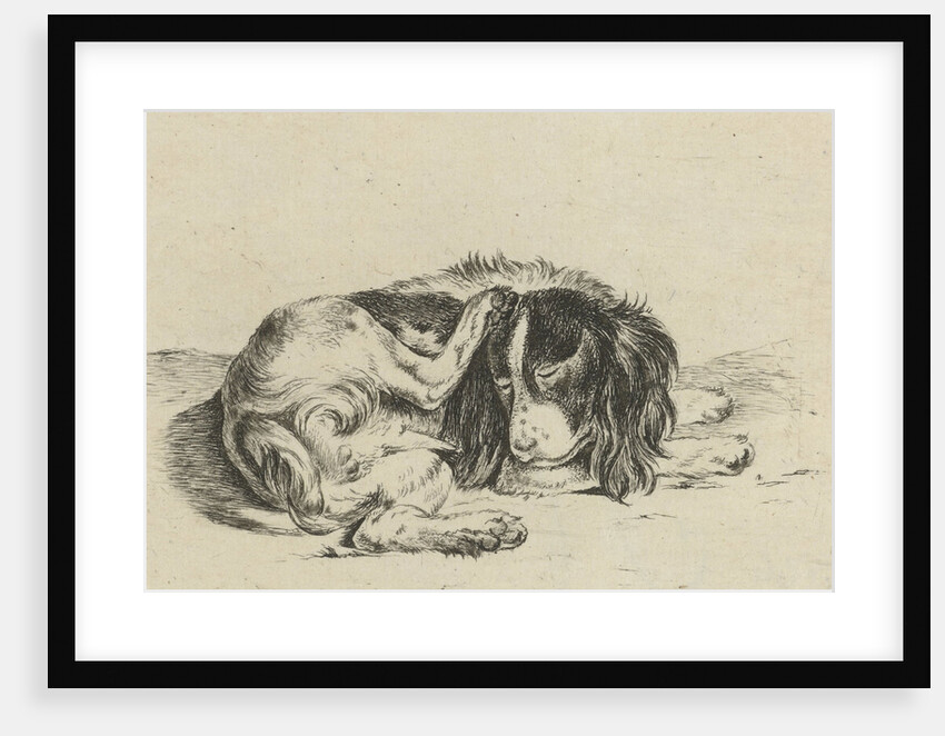 Lying dog by Hendrik Godart de Marée