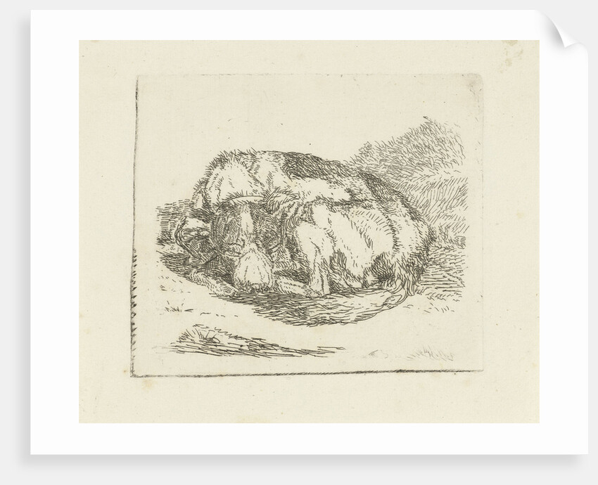 Sleeping dog by Jan Dasveldt