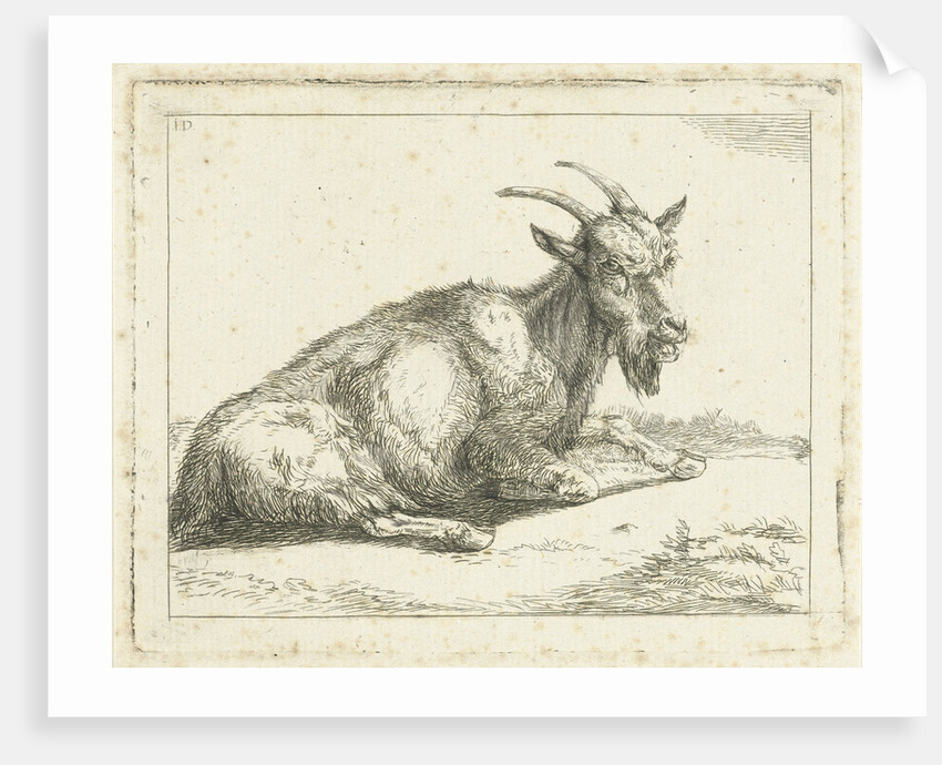 Goat by Jan Dasveldt
