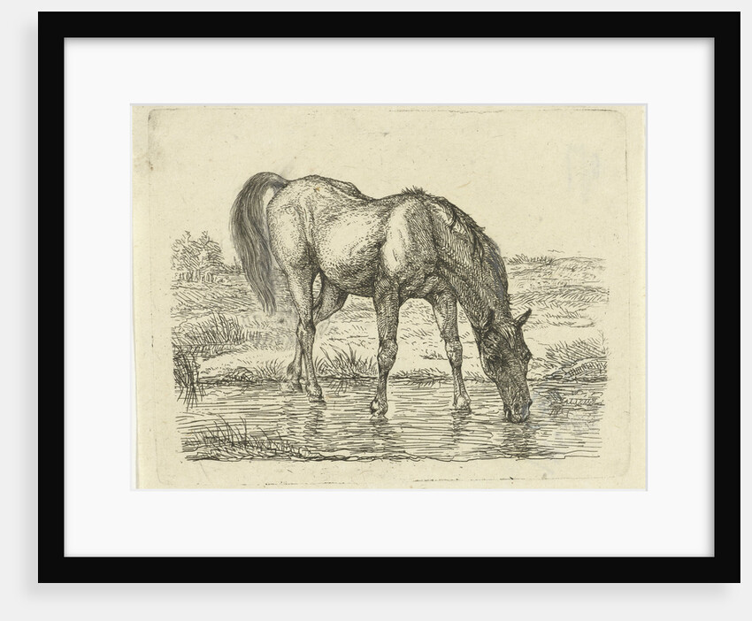 Drinking horse by Jan Dasveldt