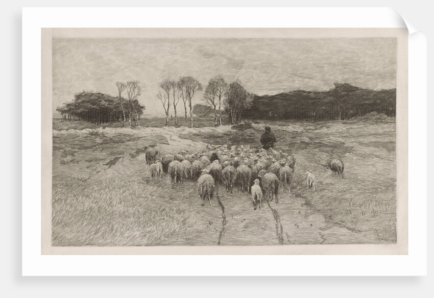 Shepherd by Anton Mauve