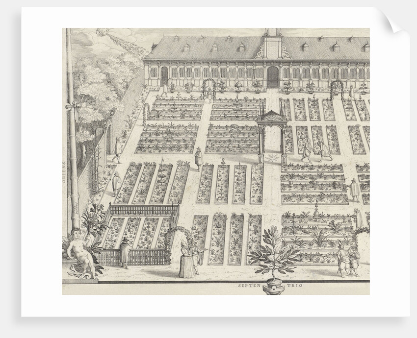 Hortus Botanicus of Leiden University by Claes Jansz. Visscher II