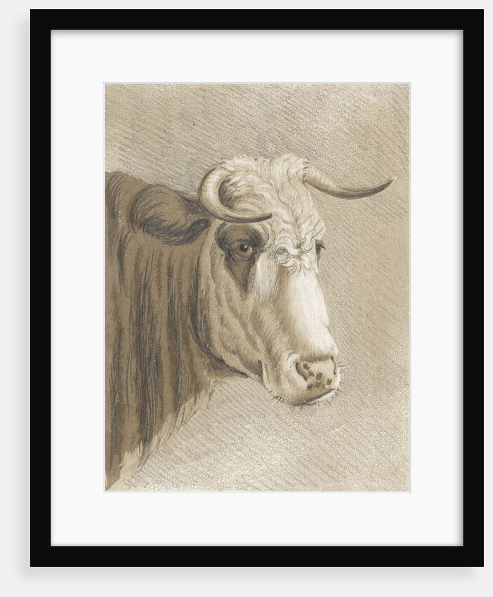 Cows head by Johann Heinrich Roos