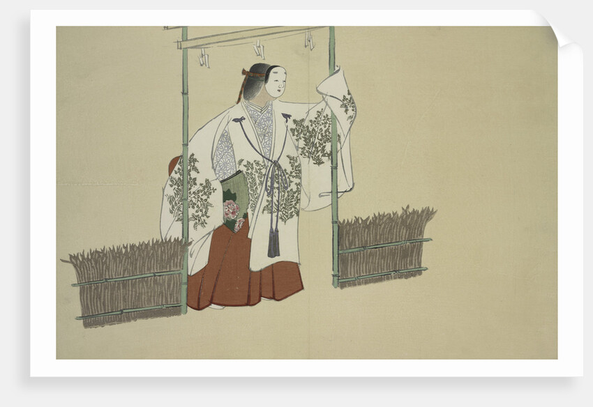 Momoyogusa Flowers of a Hundred Generations by Sekka Kamisaka