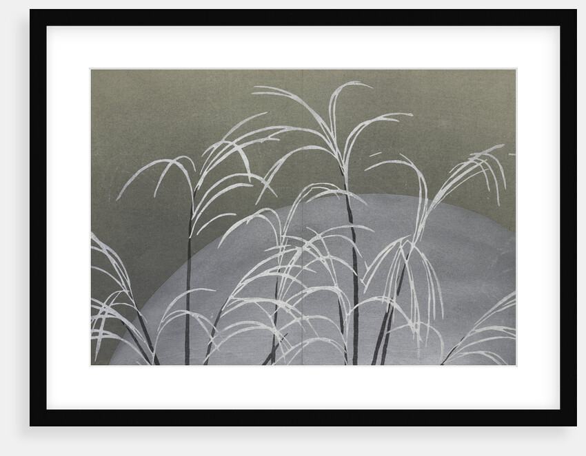 Momoyogusa Flowers of a Hundred Generations by Sekka Kamisaka