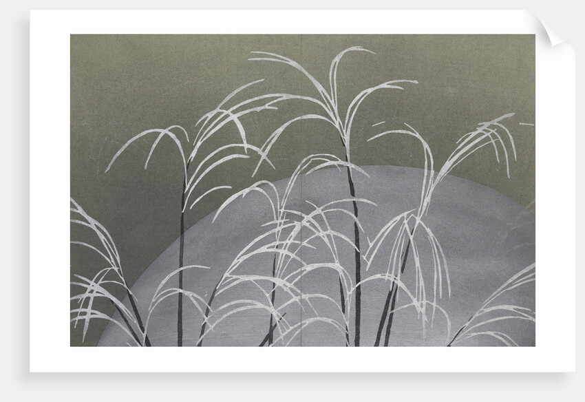 Momoyogusa Flowers of a Hundred Generations by Sekka Kamisaka