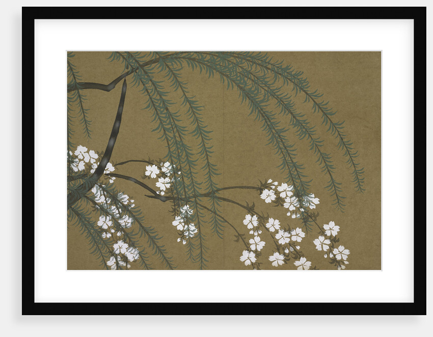 Momoyogusa Flowers of a Hundred Generations by Sekka Kamisaka