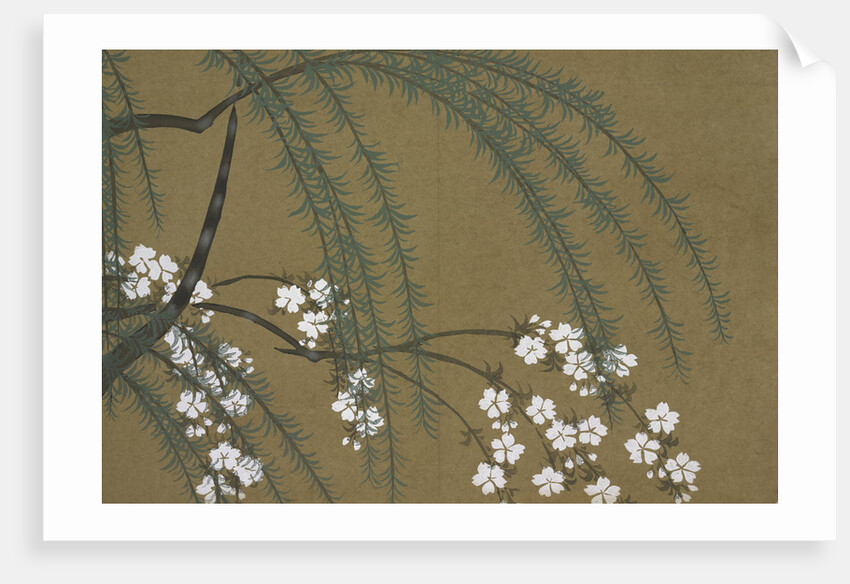 Momoyogusa Flowers of a Hundred Generations by Sekka Kamisaka