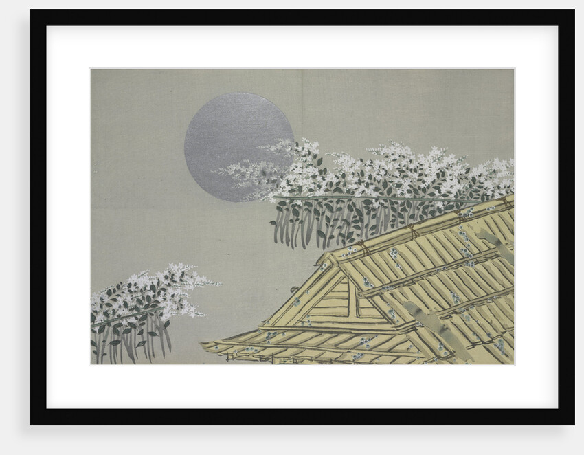 Momoyogusa Flowers of a Hundred Generations by Sekka Kamisaka