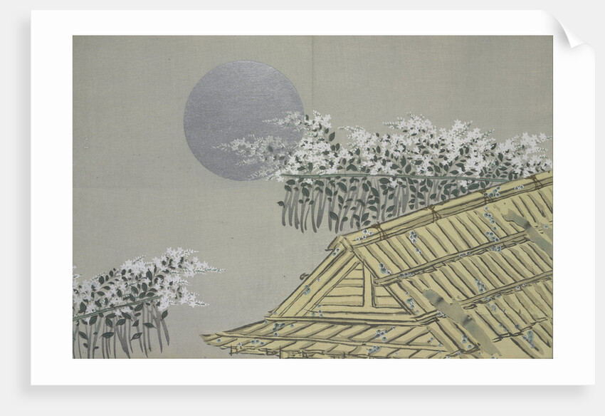 Momoyogusa Flowers of a Hundred Generations by Sekka Kamisaka