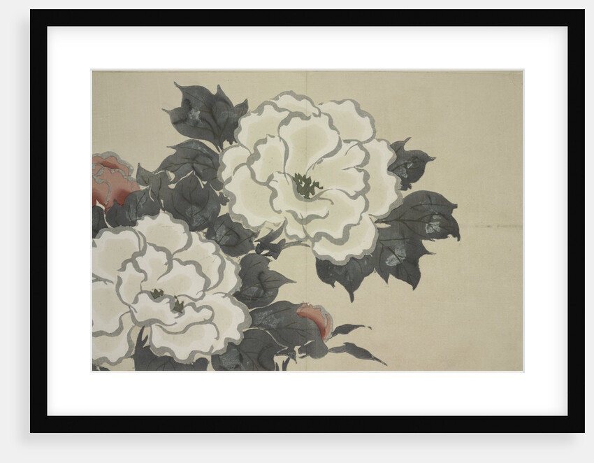 Momoyogusa Flowers of a Hundred Generations by Sekka Kamisaka
