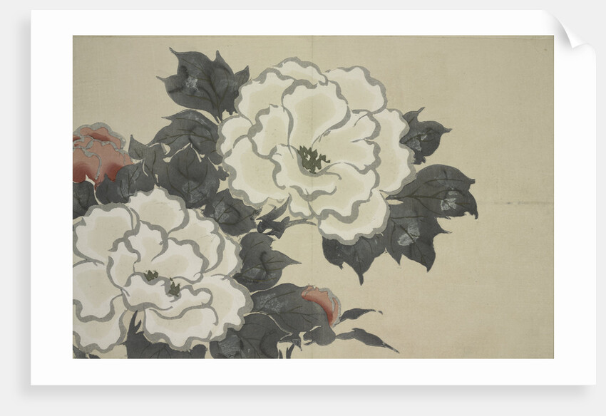 Momoyogusa Flowers of a Hundred Generations by Sekka Kamisaka