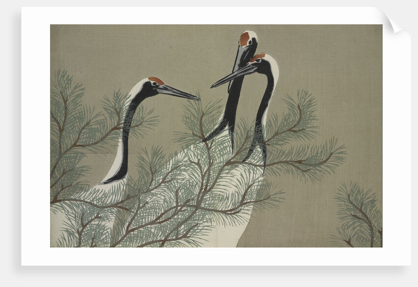 Momoyogusa Flowers of a Hundred Generations by Sekka Kamisaka