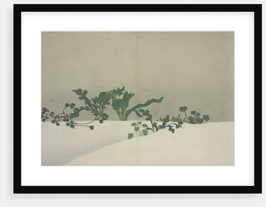 Green Plants by Sekka Kamisaka