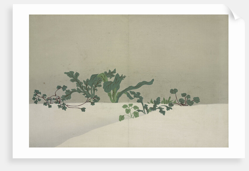 Green Plants by Sekka Kamisaka