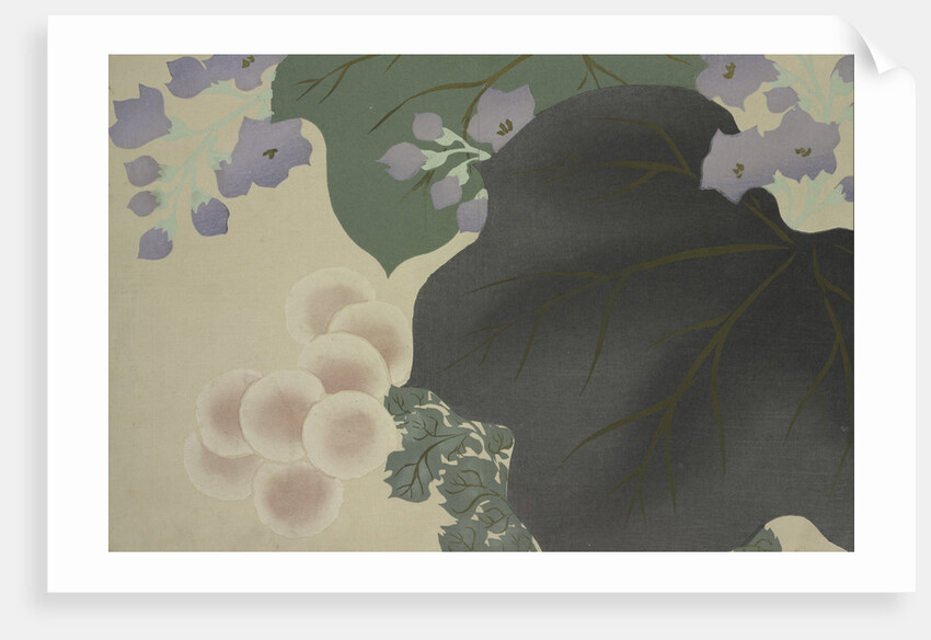 Flowers and leaves by Sekka Kamisaka