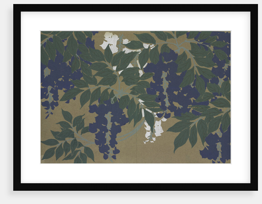 Momoyogusa Flowers of a Hundred Generations by Sekka Kamisaka