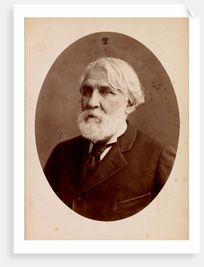 Allium paniculatum, Ail en panicule, Meditteranean onion by Pierre Joseph Redouté