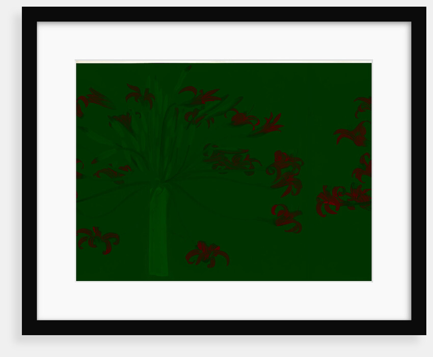 Amaryllis Josephine, Brunsrigia Josephinae; Brunsvigia Josephine; Amaryllis de Josephine; Josephine Lily by Pierre Joseph Redouté