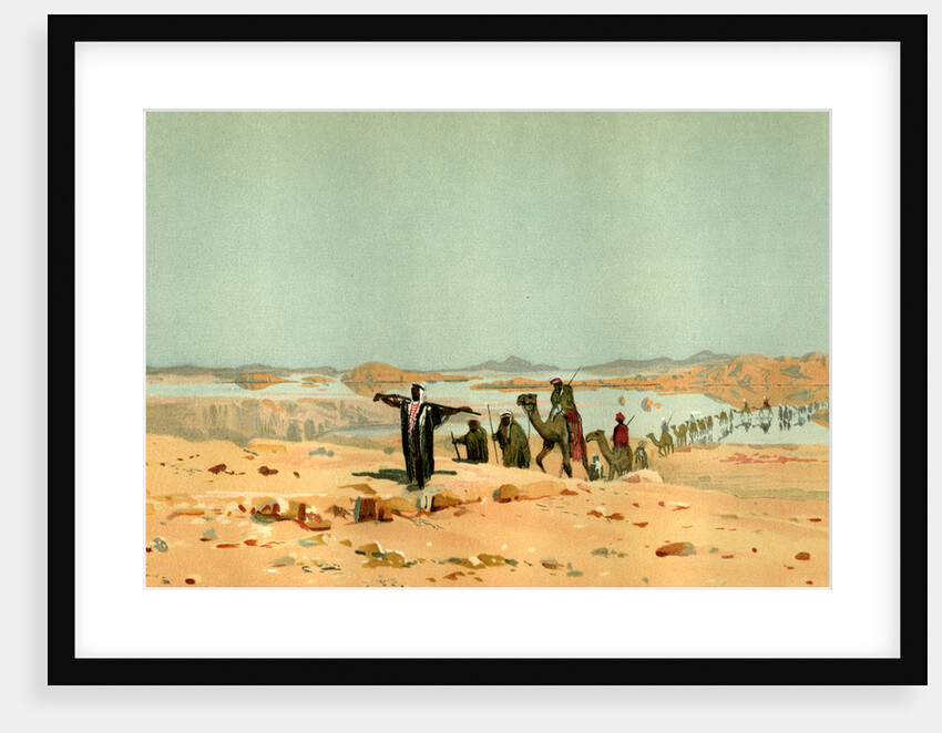 Sahara 19th Century Desert Camels by Anonymous