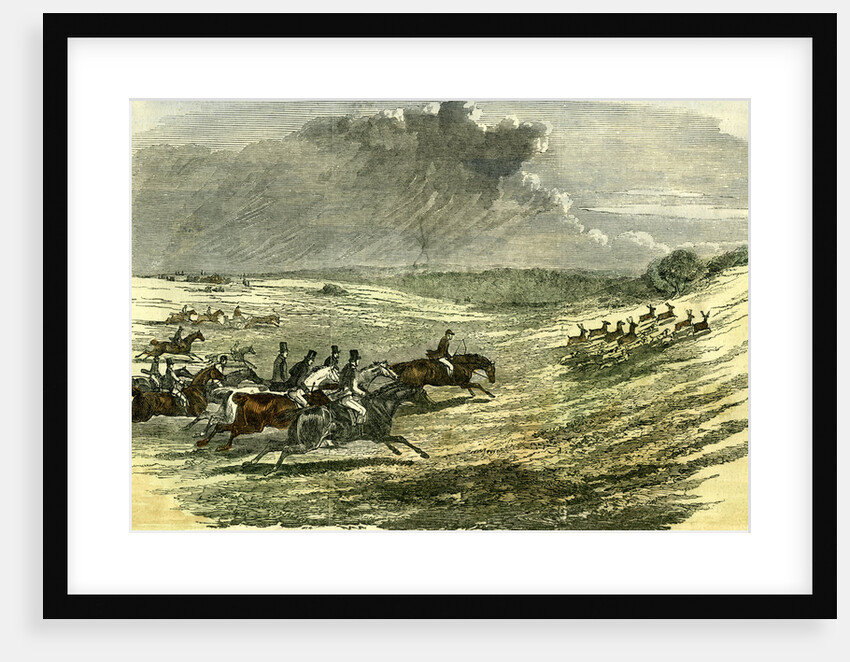 Lyndhurst New Forest UK 1850 Chase of a Jackal Hunt by Anonymous