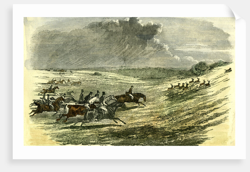 Lyndhurst New Forest UK 1850 Chase of a Jackal Hunt by Anonymous