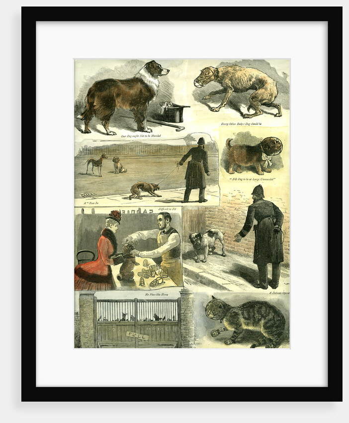 Dogs UK Police Regulations 1885 by Anonymous