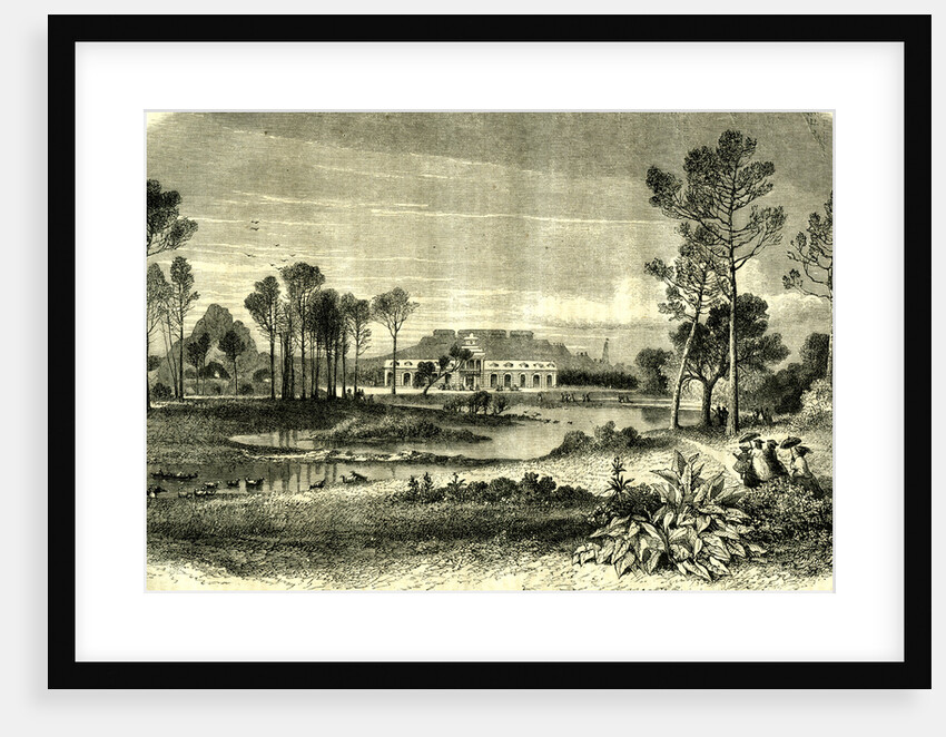 Bois De Boulogne Paris 19th Century by Anonymous