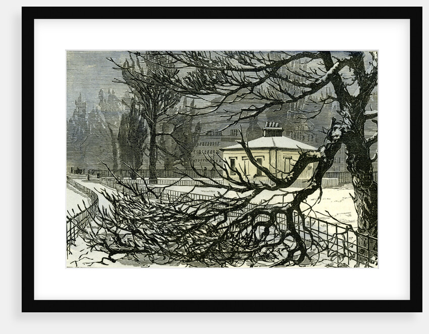 Kensington Gardens London 1887 Damage to Trees Near Queen's Gate by Anonymous