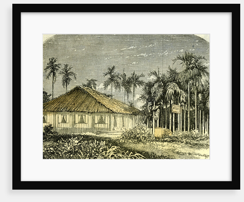 Saigon Rue De Gouvernement Vietnam 19th Century by Anonymous