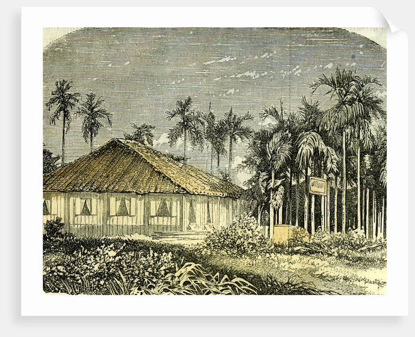 Saigon Rue De Gouvernement Vietnam 19th Century by Anonymous