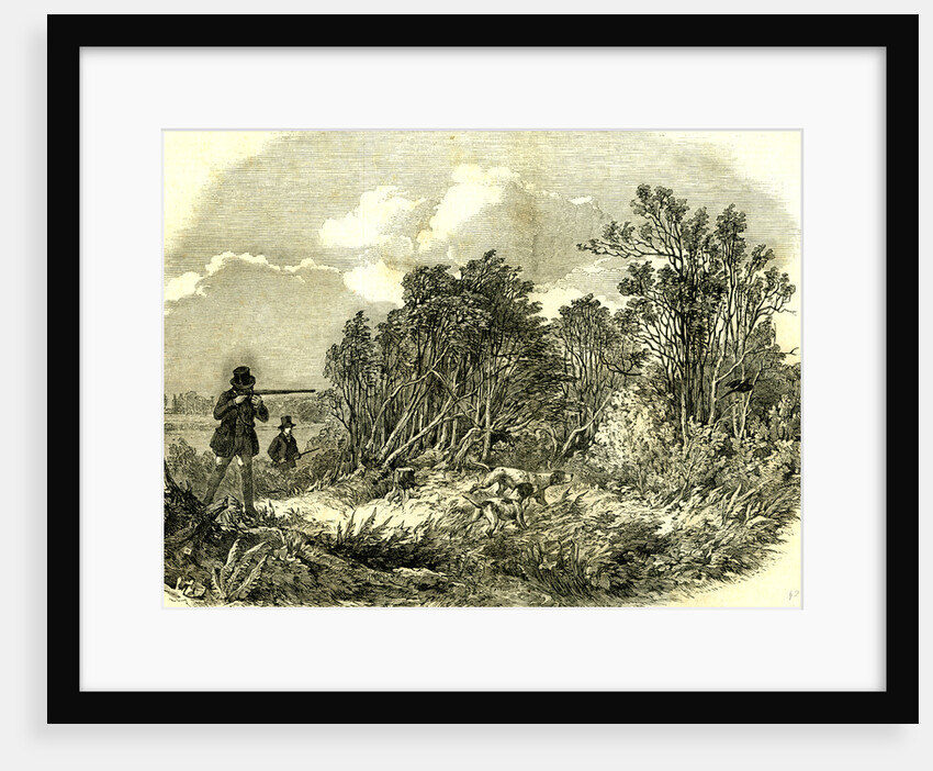 Pheasant Shooting UK 1850 by Anonymous