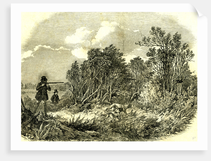 Pheasant Shooting UK 1850 by Anonymous
